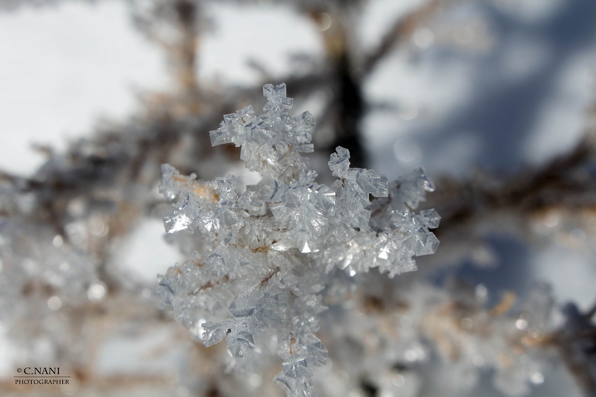 Diamanti di Ghiaccio