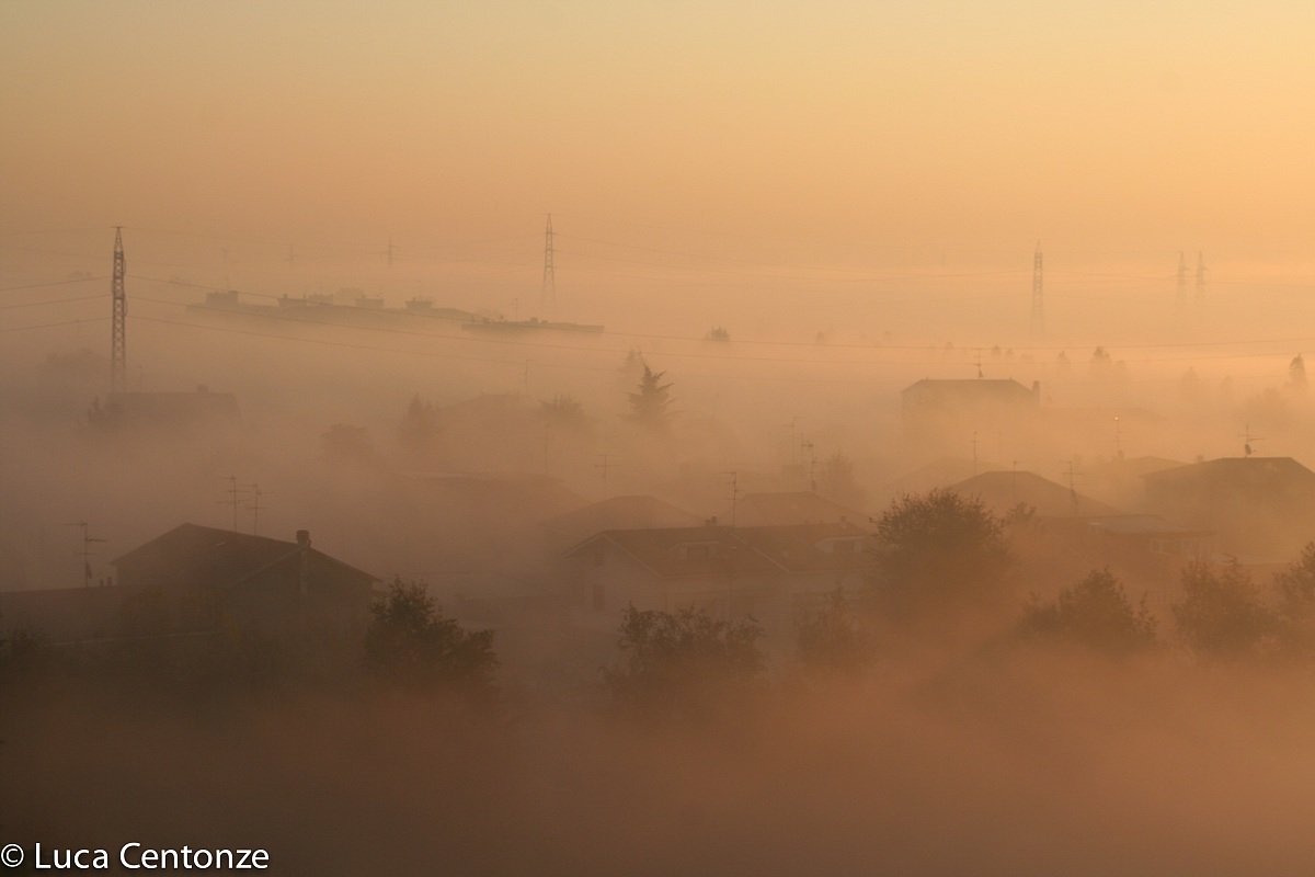 Roofs in the fog
