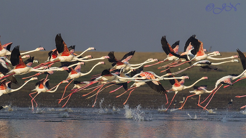 Il vostro marchio, pronti, via ....