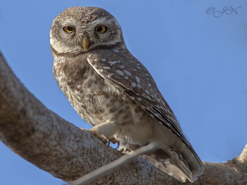 Se solo gli sguardi potessero uccidere ...