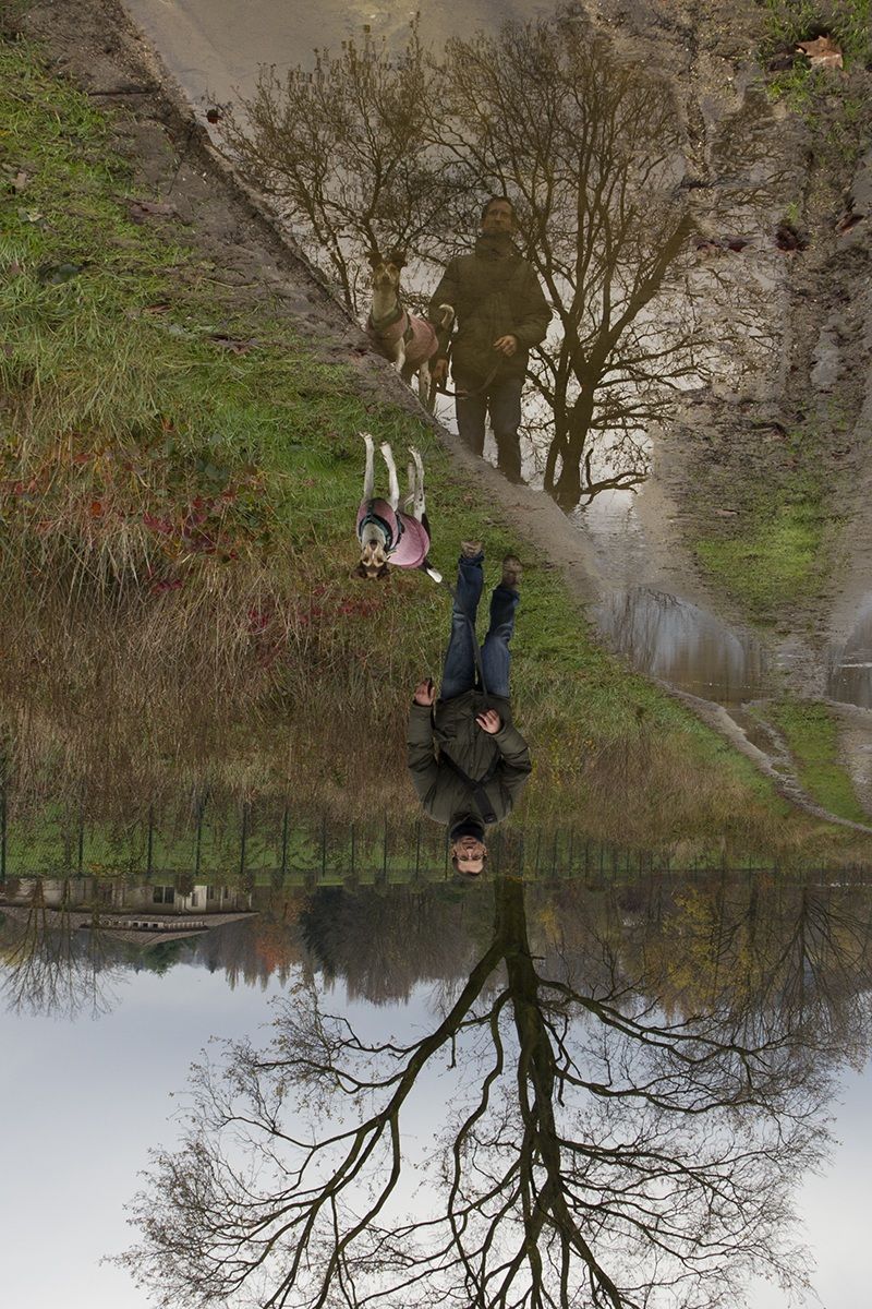 It can not rain forever ... :-)