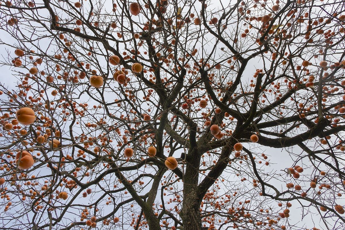 Let's hope not ... from!