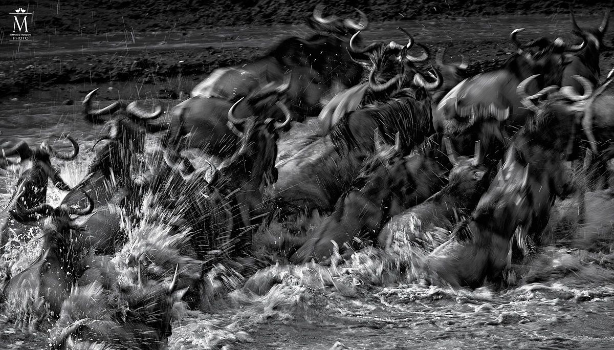 Horns, Socket, Water? .. Fear!!