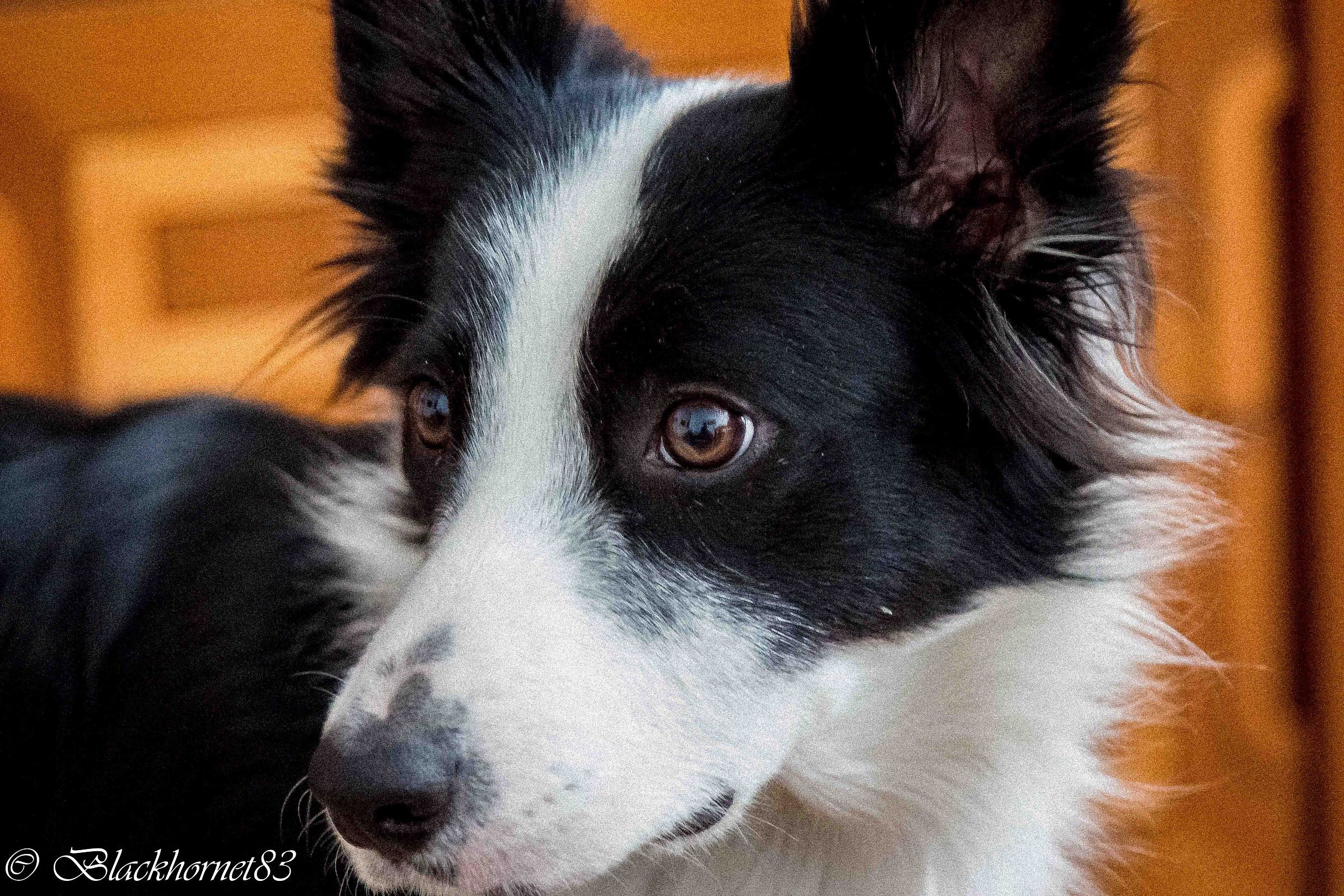 The eyes are the mirror of the soul