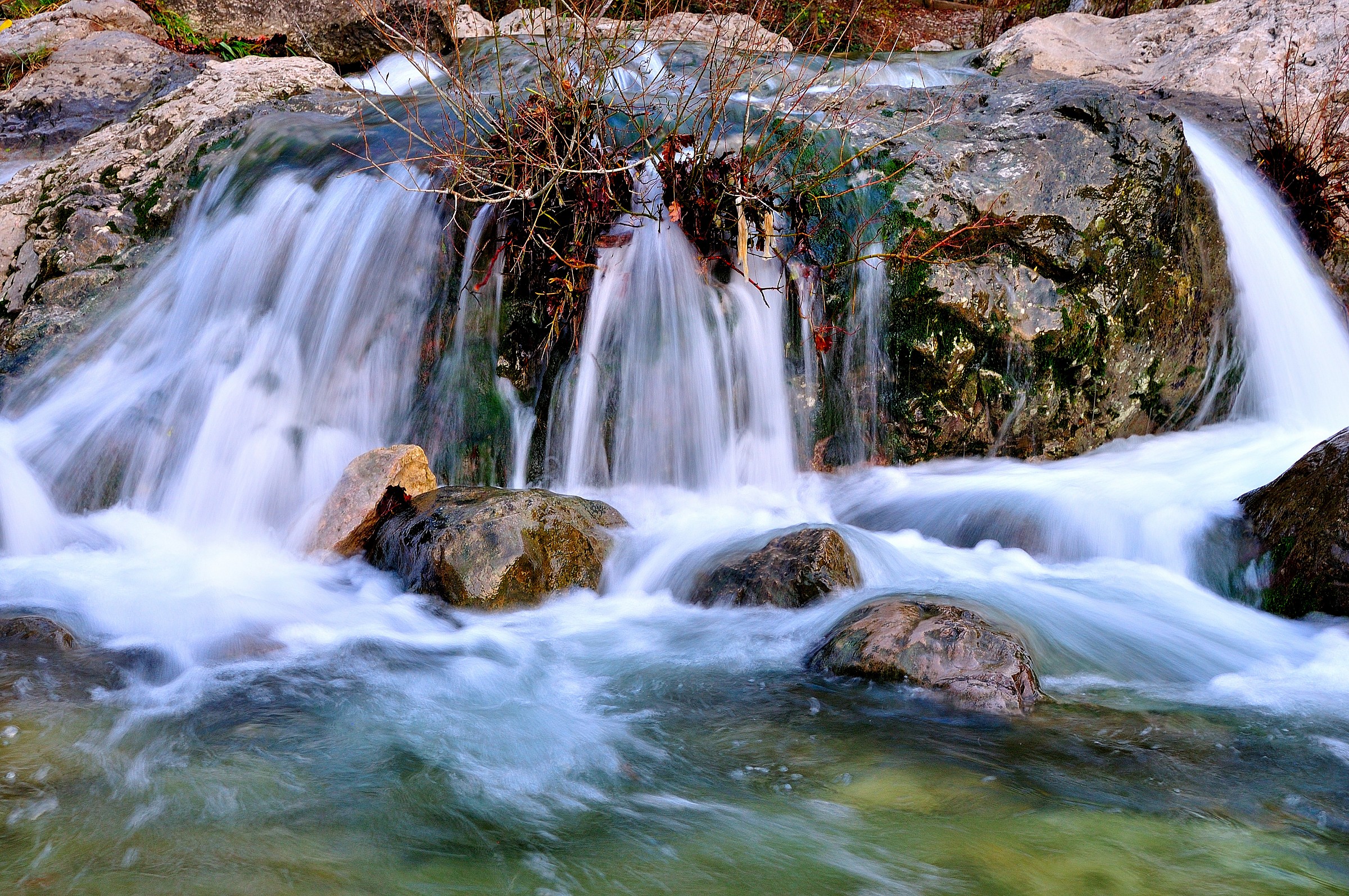 rapida delle tartarughe