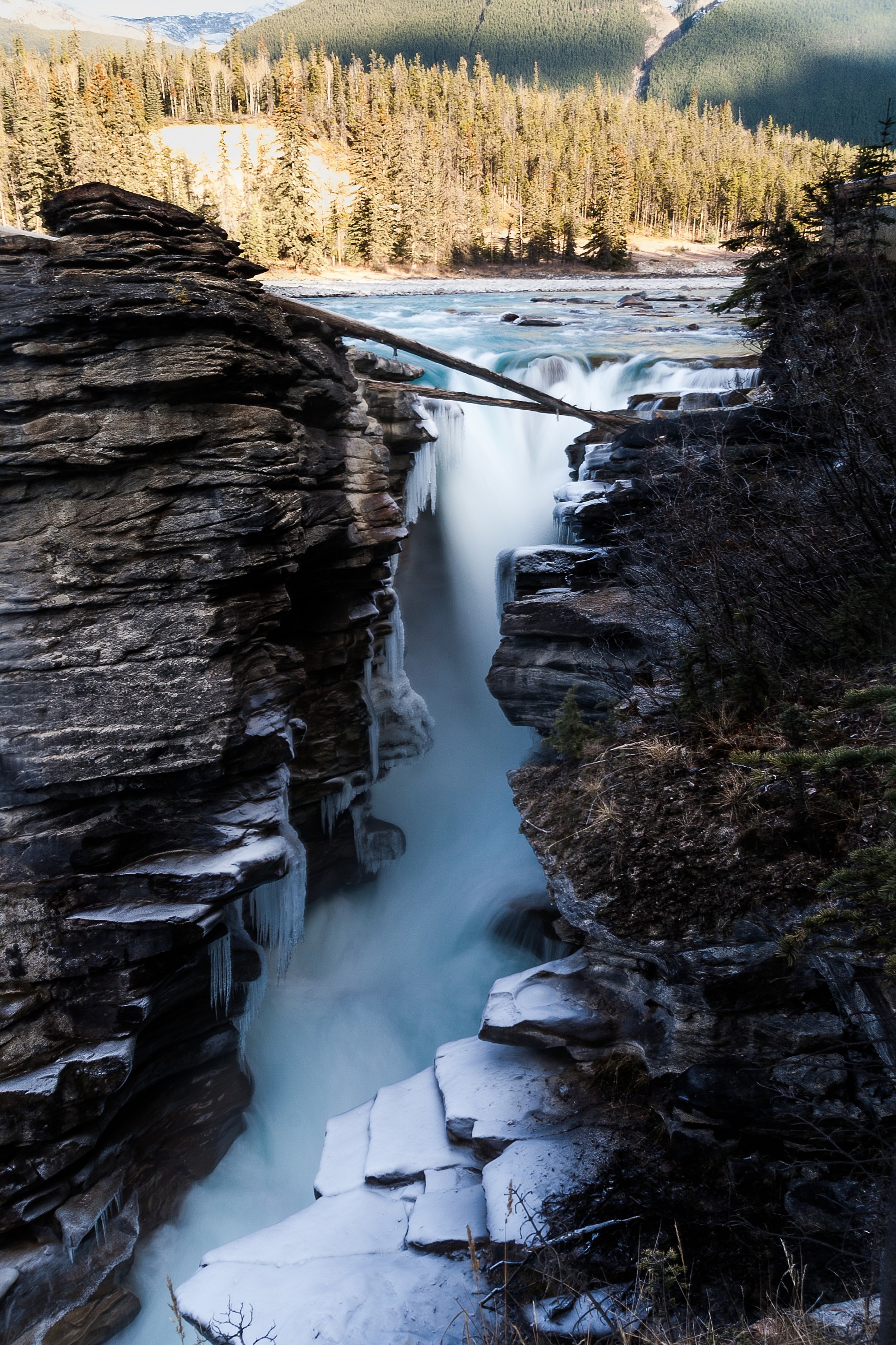 Athabasca Falls