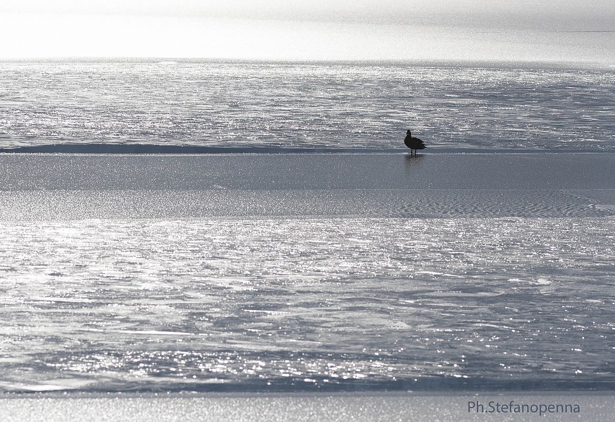 It will be a long winter ...