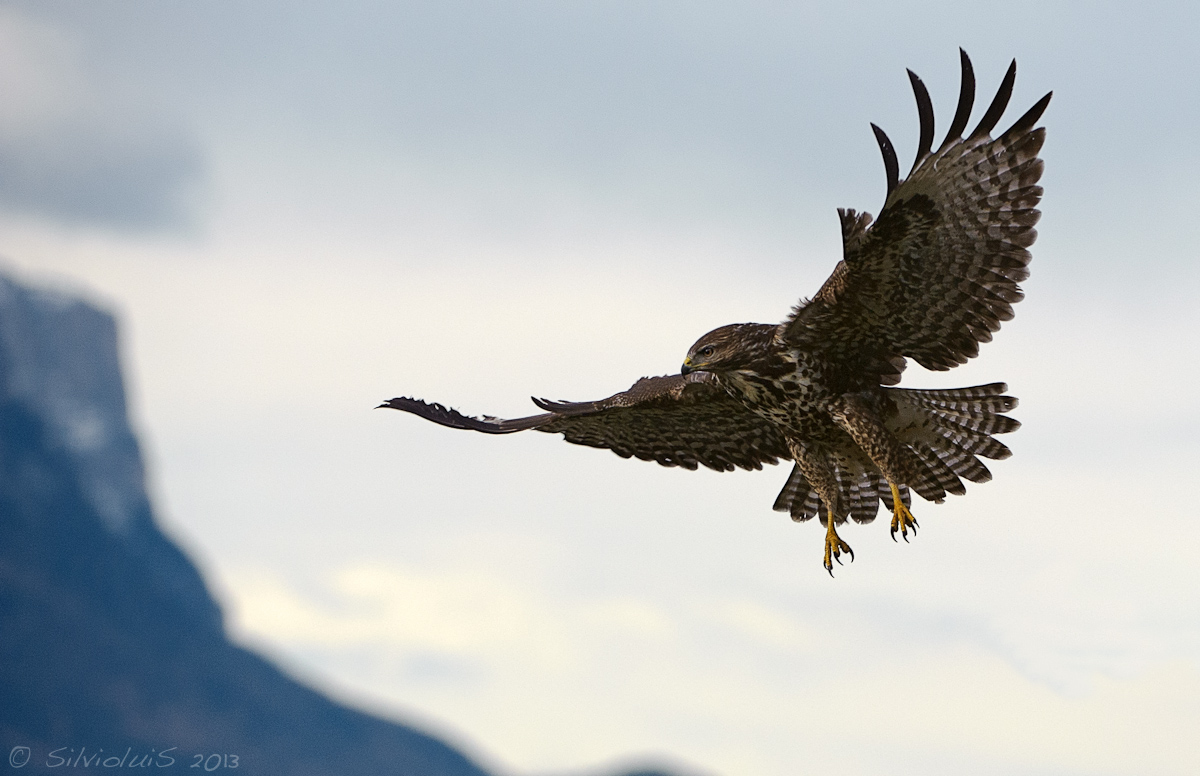 Going down to the Valley