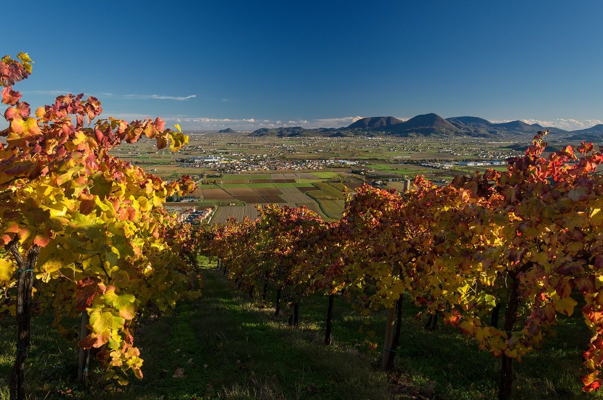 The Euganean Hills viewed from Berici