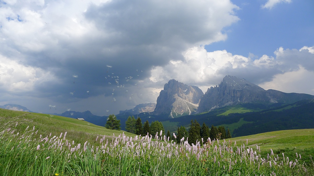 alpe di siusi