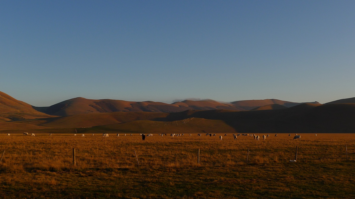 piana di castelluccio