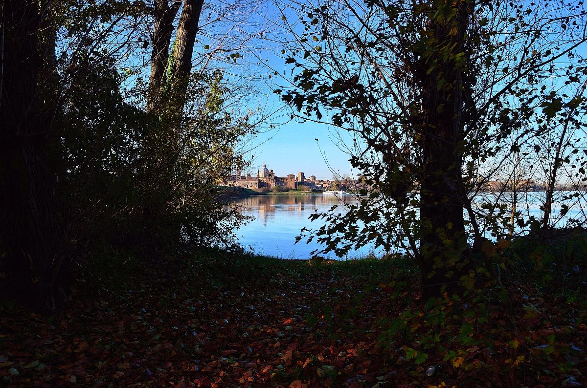 Glimpses in Mantua
