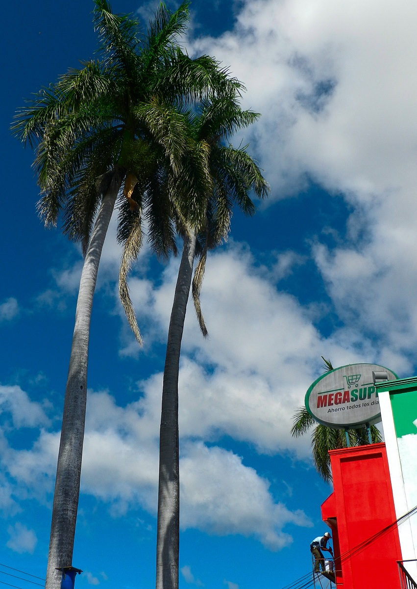 The tricolor in Costa Rica