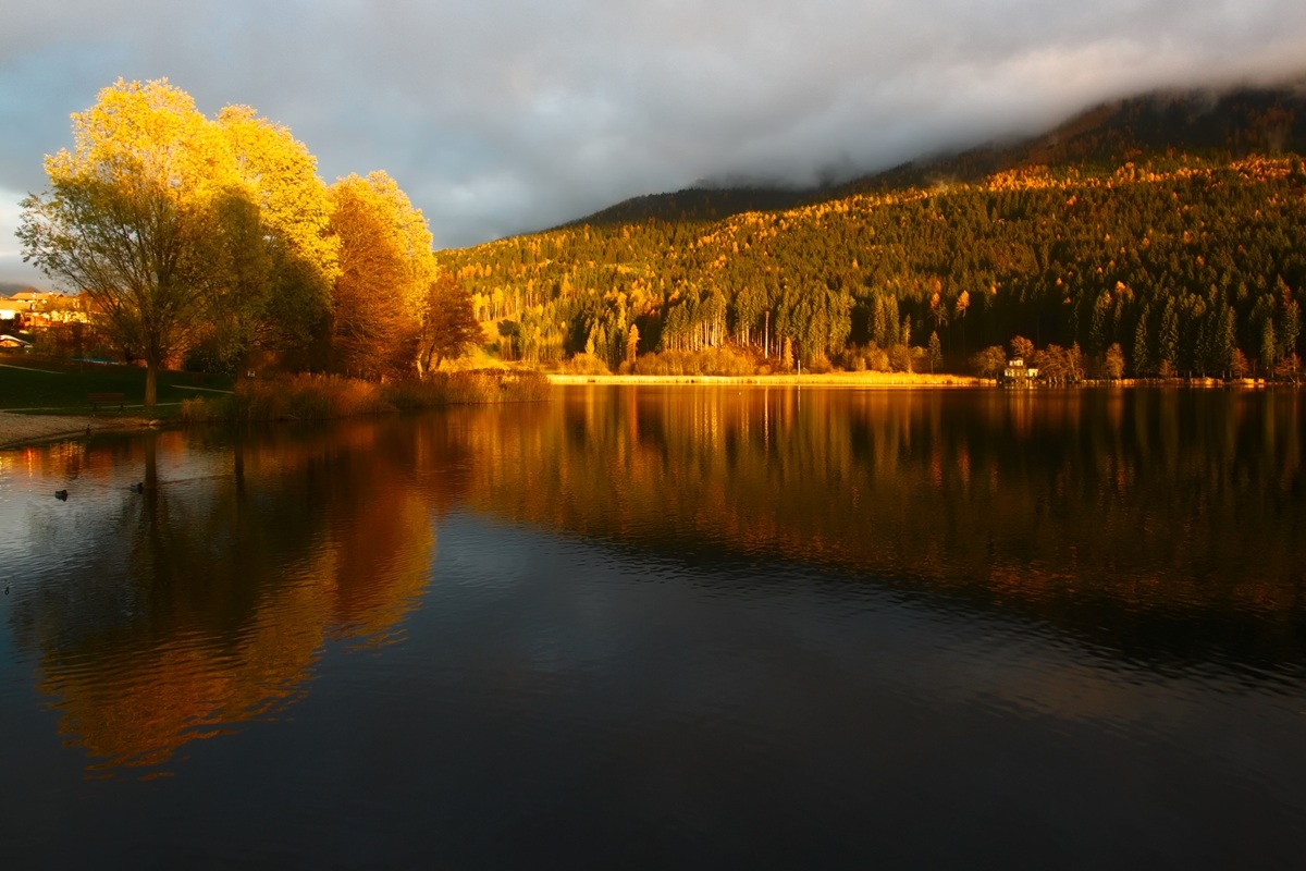 Autumn colors - Pine Lake