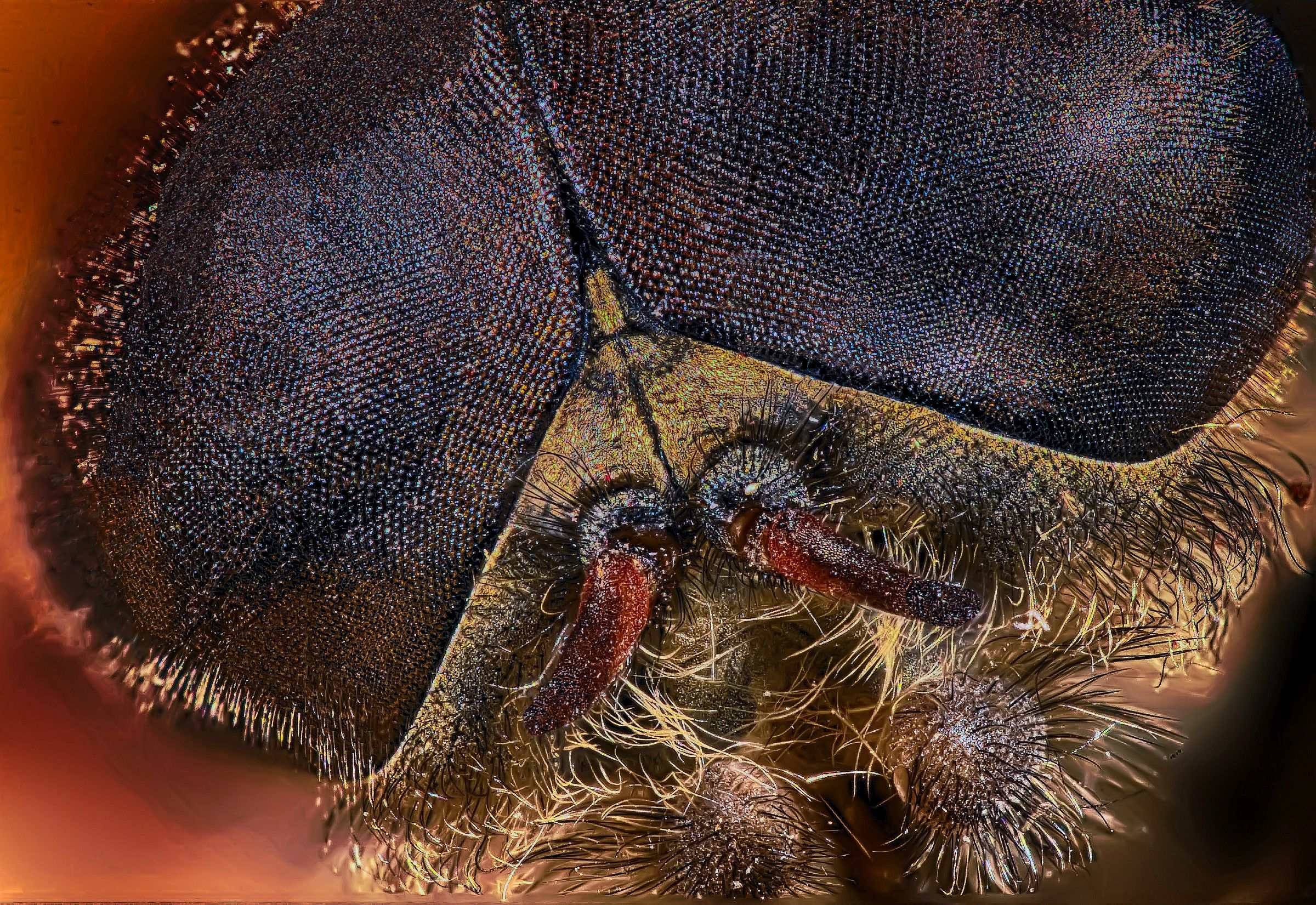 Ho occhi solo per te ...