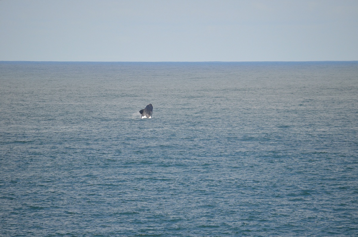 Special meetings in Hermanus