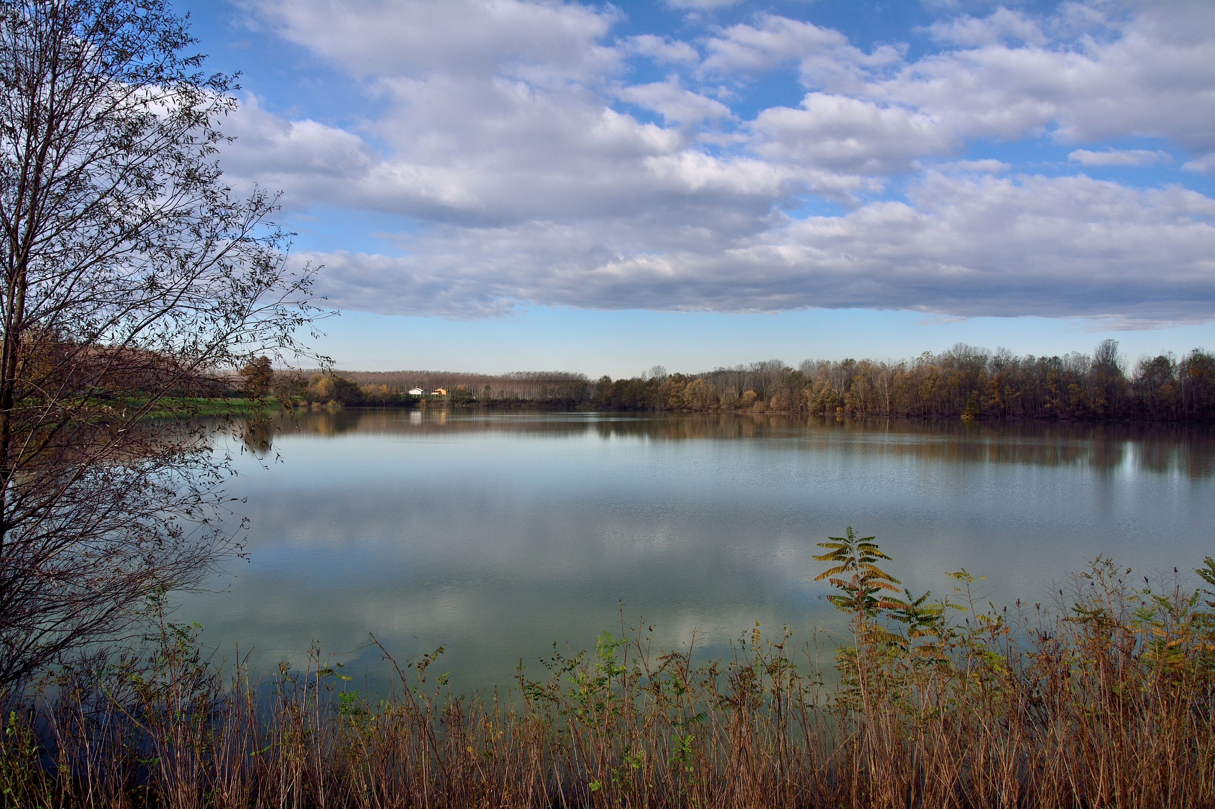 Wetlands along the river while