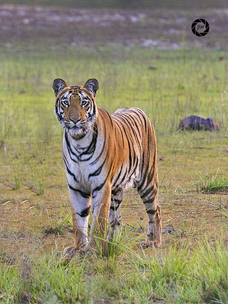 Occhio per occhio ...