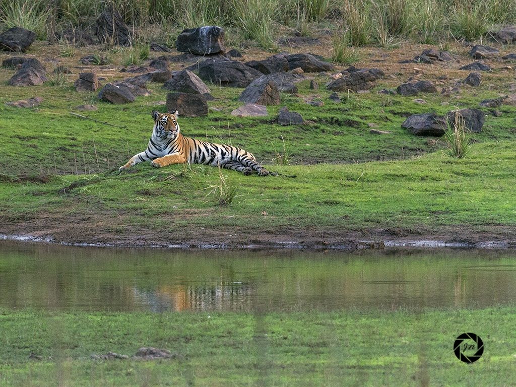 La principessa sul tumulo.