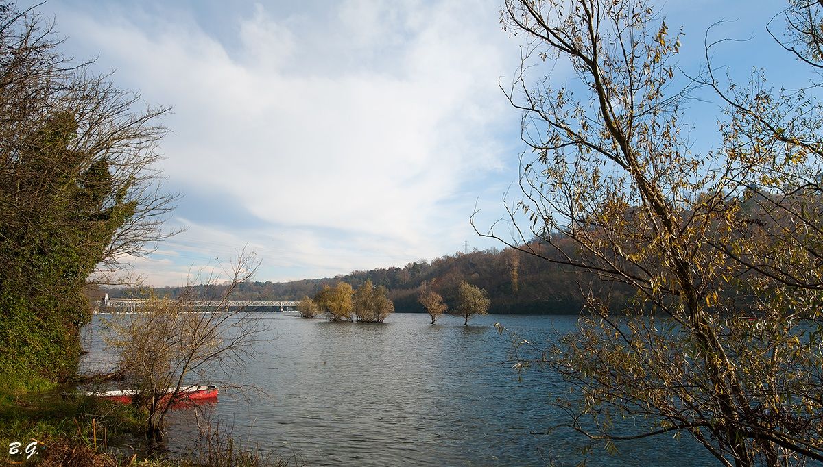 Uno sguardo tra la boscaglia