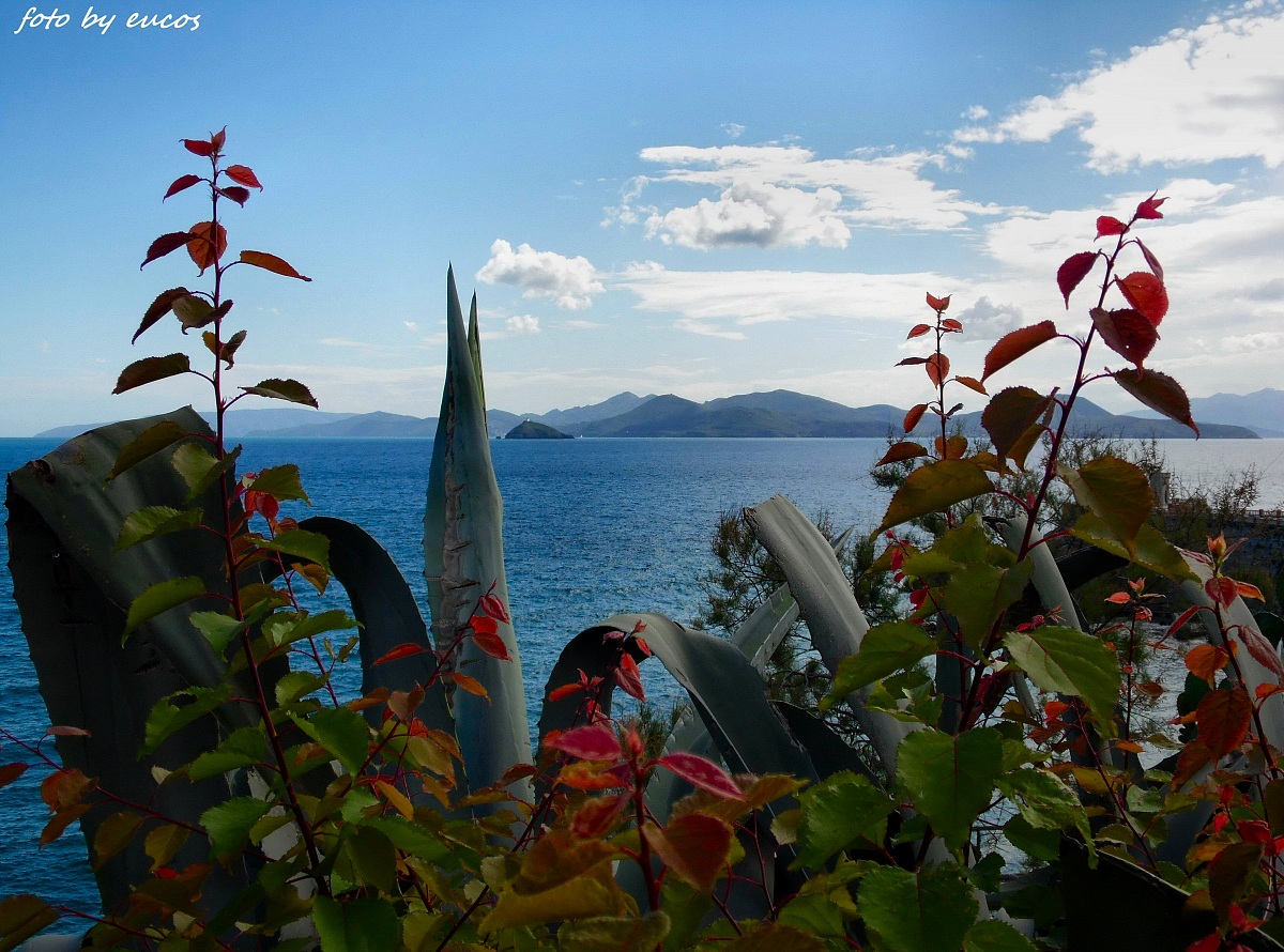 L'isola d'Elba da Piombino 2