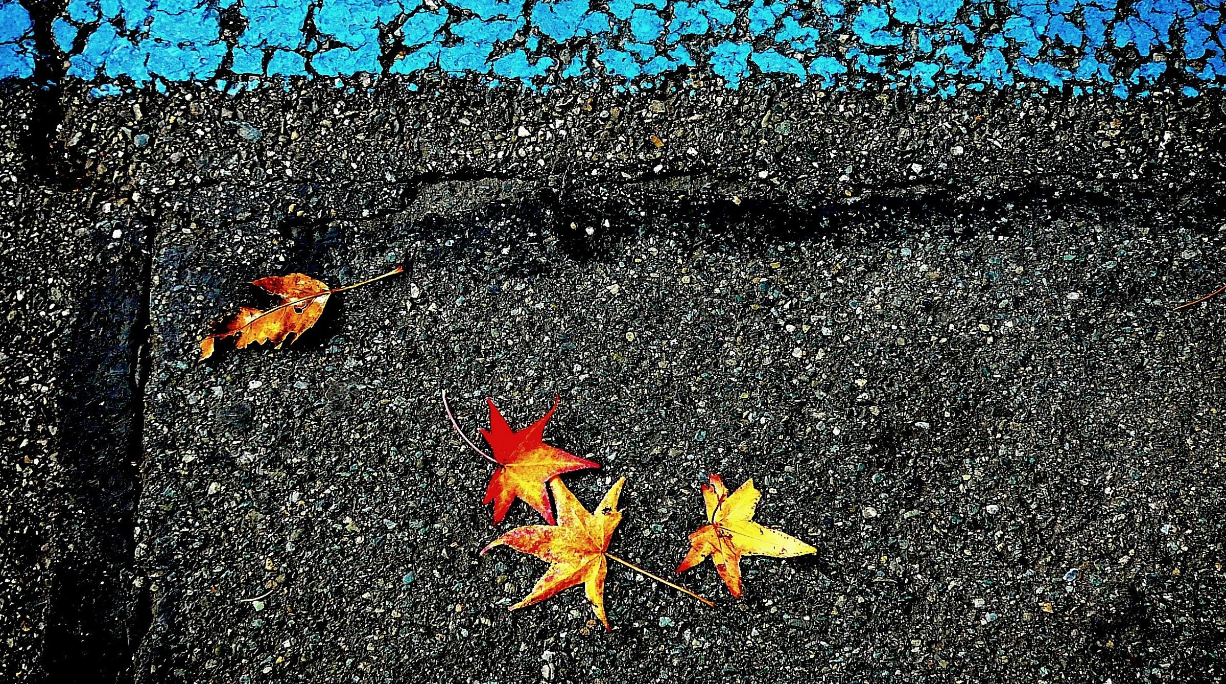 autunno metropolitano.............