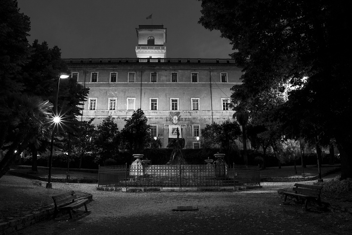 The Municipality Night