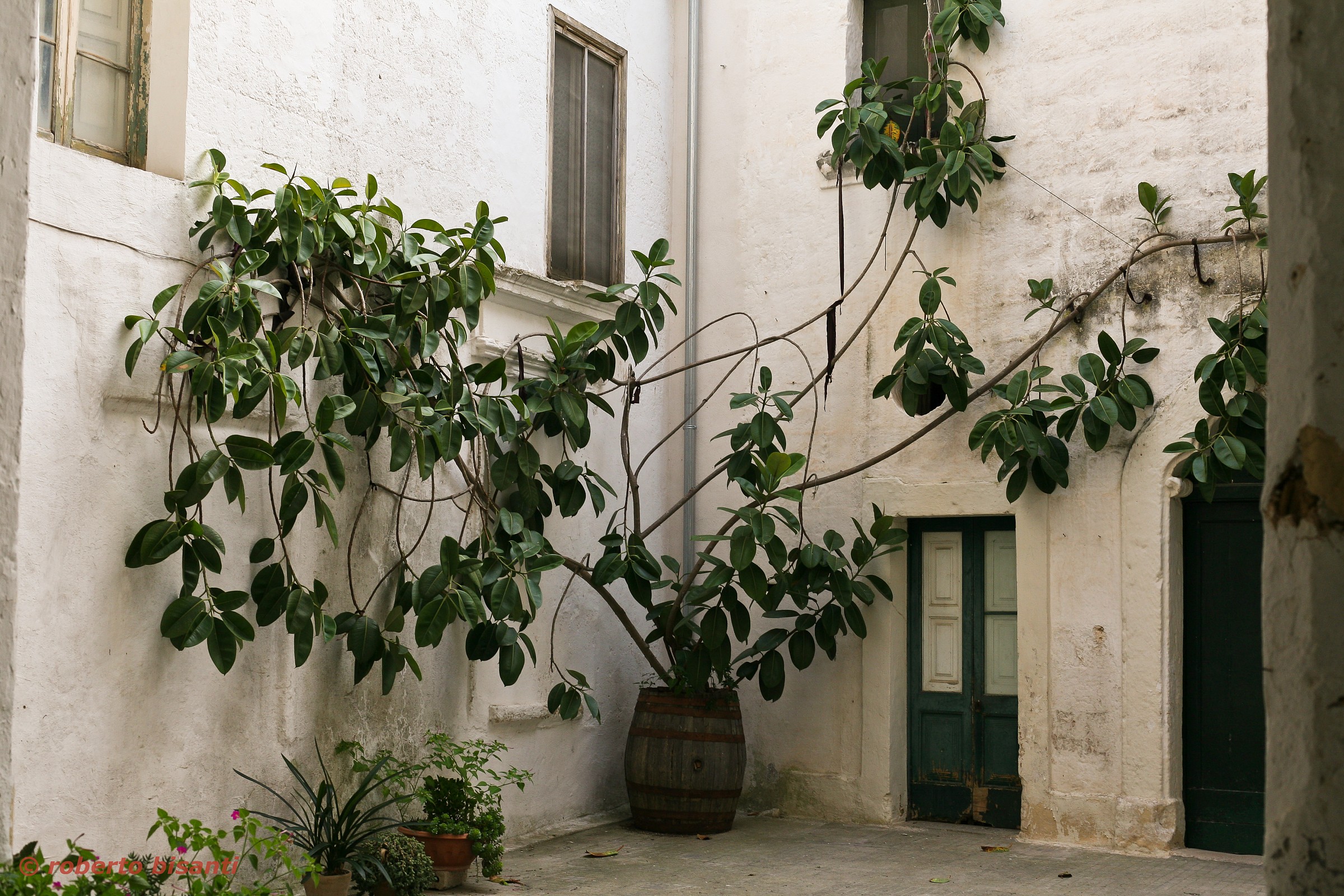 specchia - il borgo 4