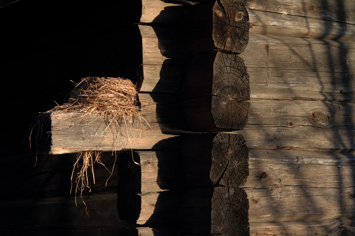 In attesa di nuove vite