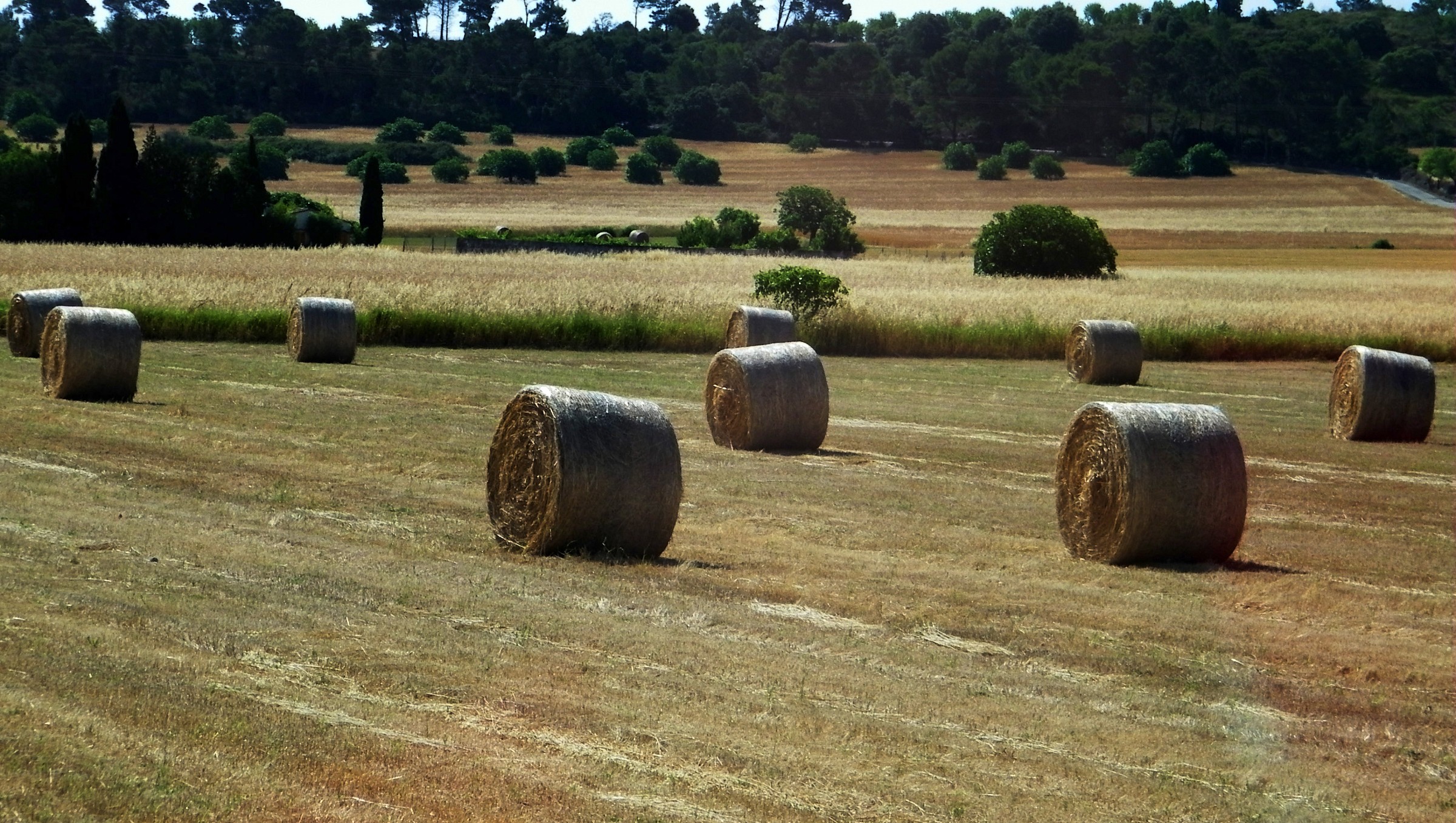 waiting for the next summer