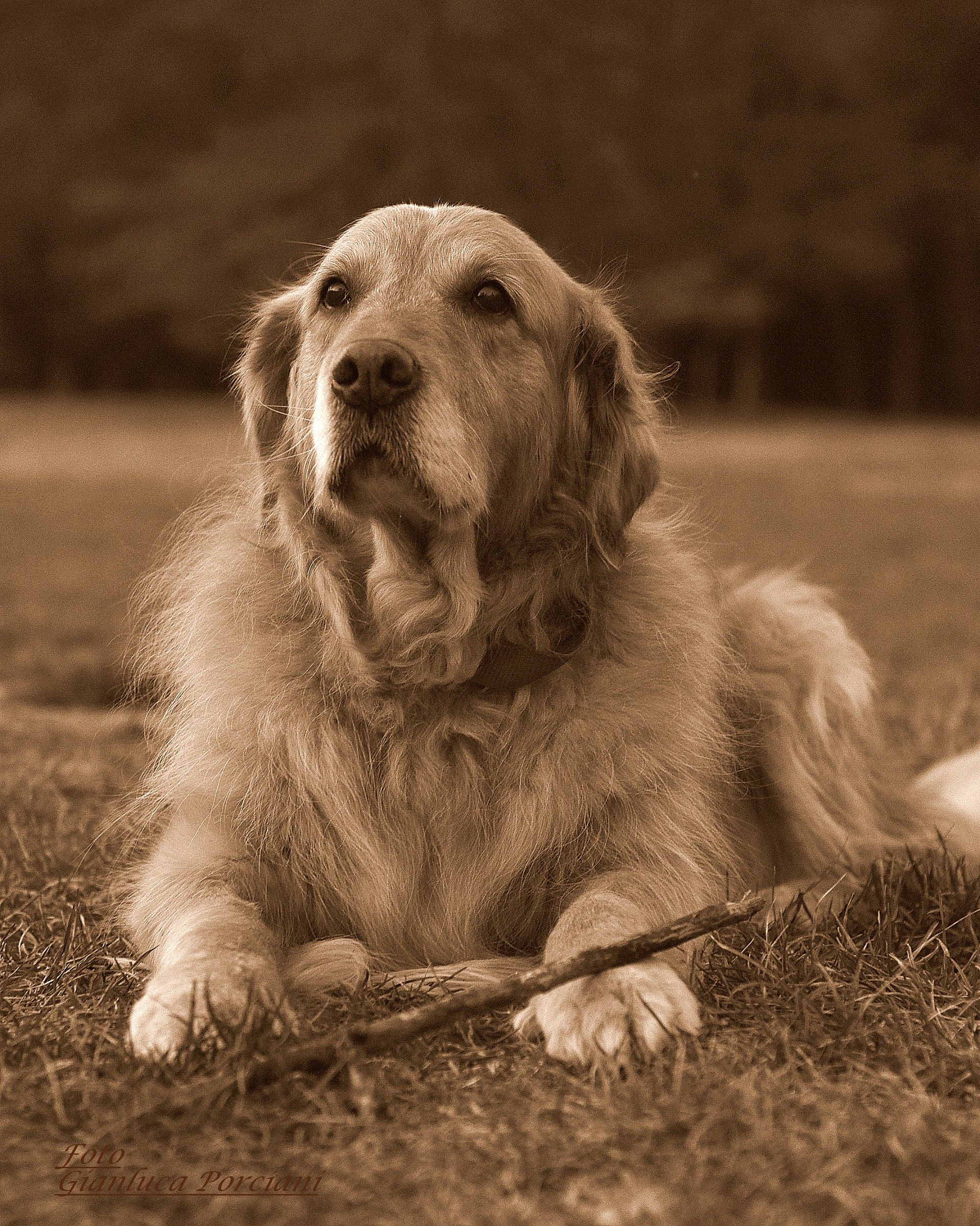 Lei .. is unique ..!