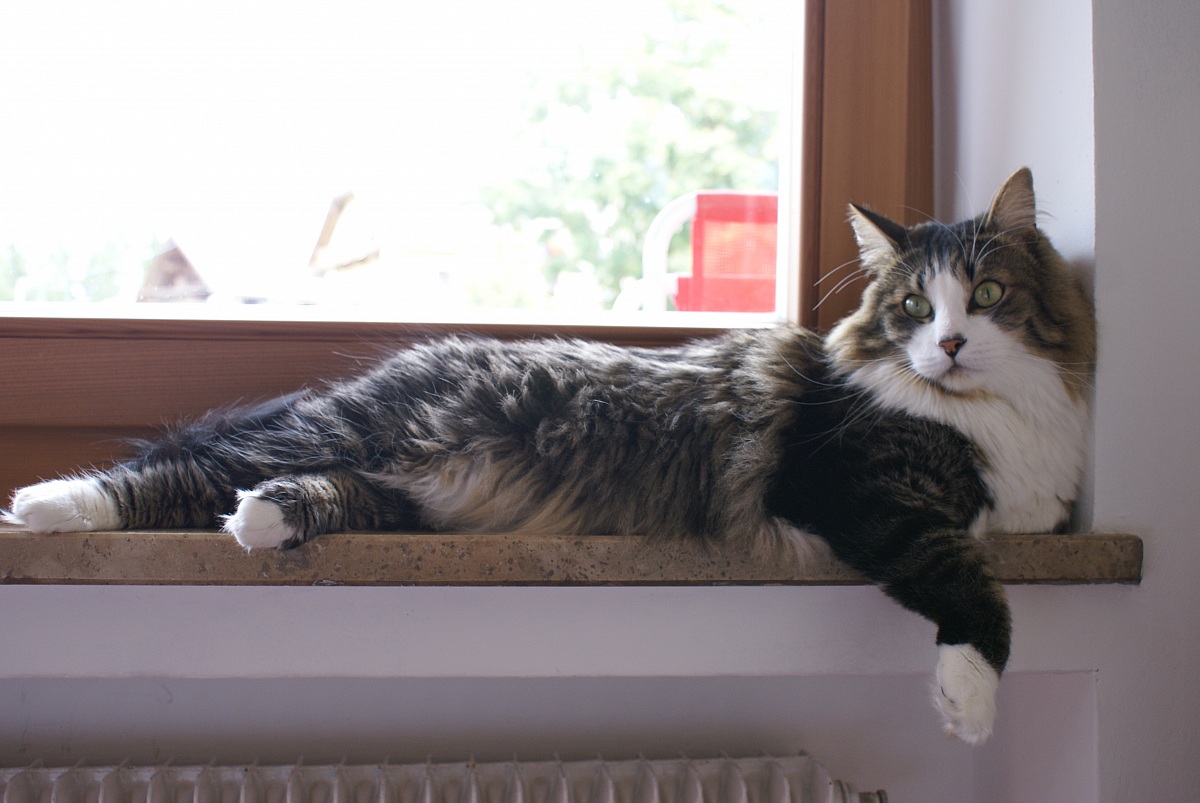 Sun in: muscle relaxation .......