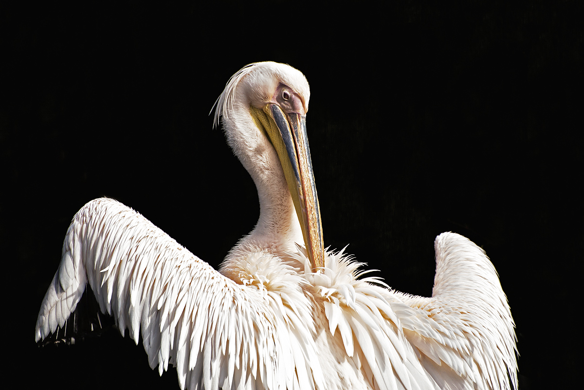 Non si è mai soli nella vita.