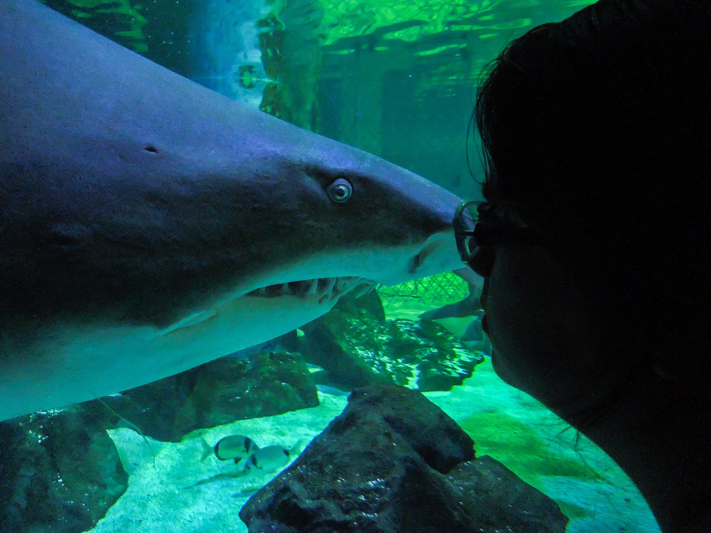 Mezzogiorno di fuoco...sguardi di sfida...