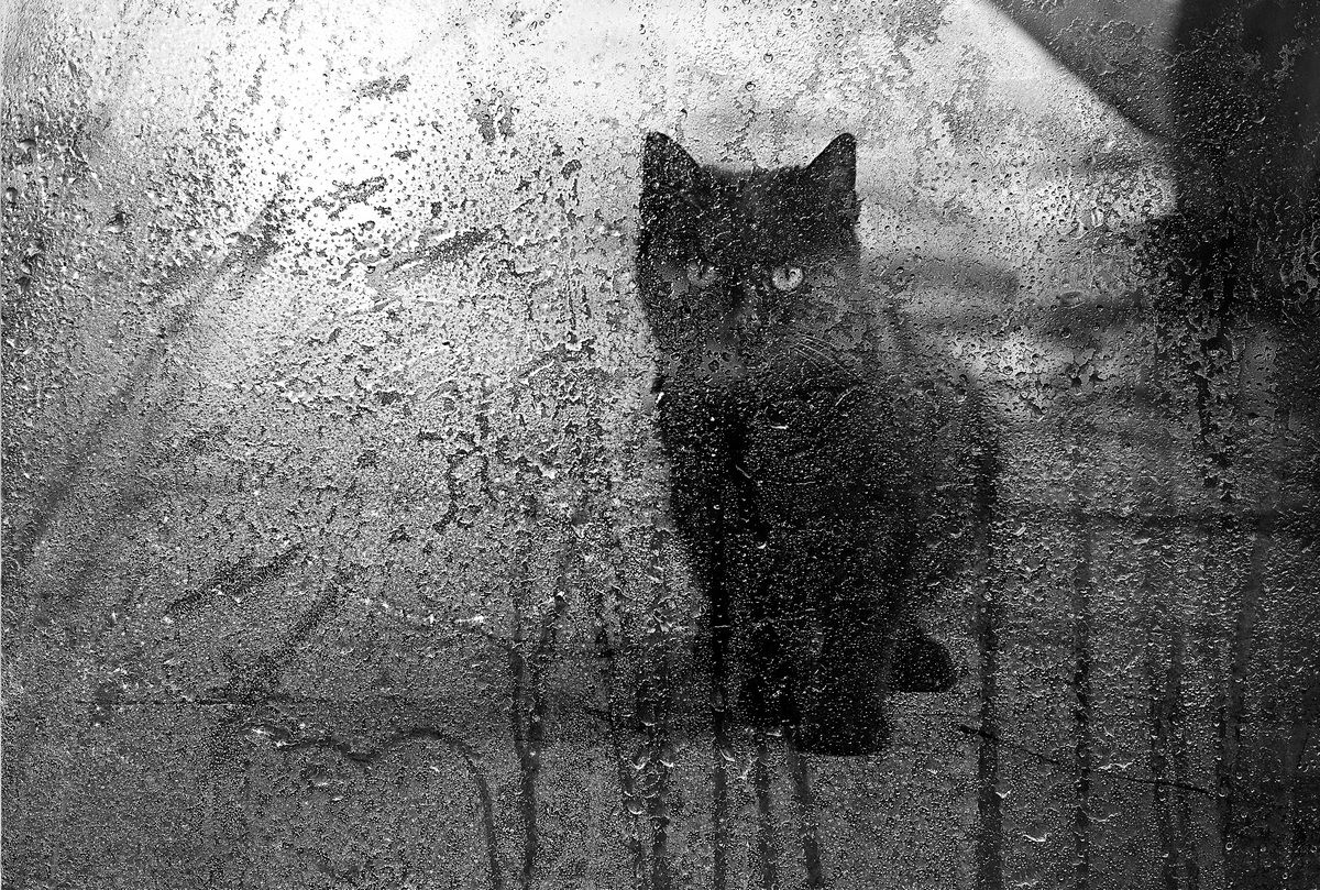 Scusi mi fa entrare? Qui si gela