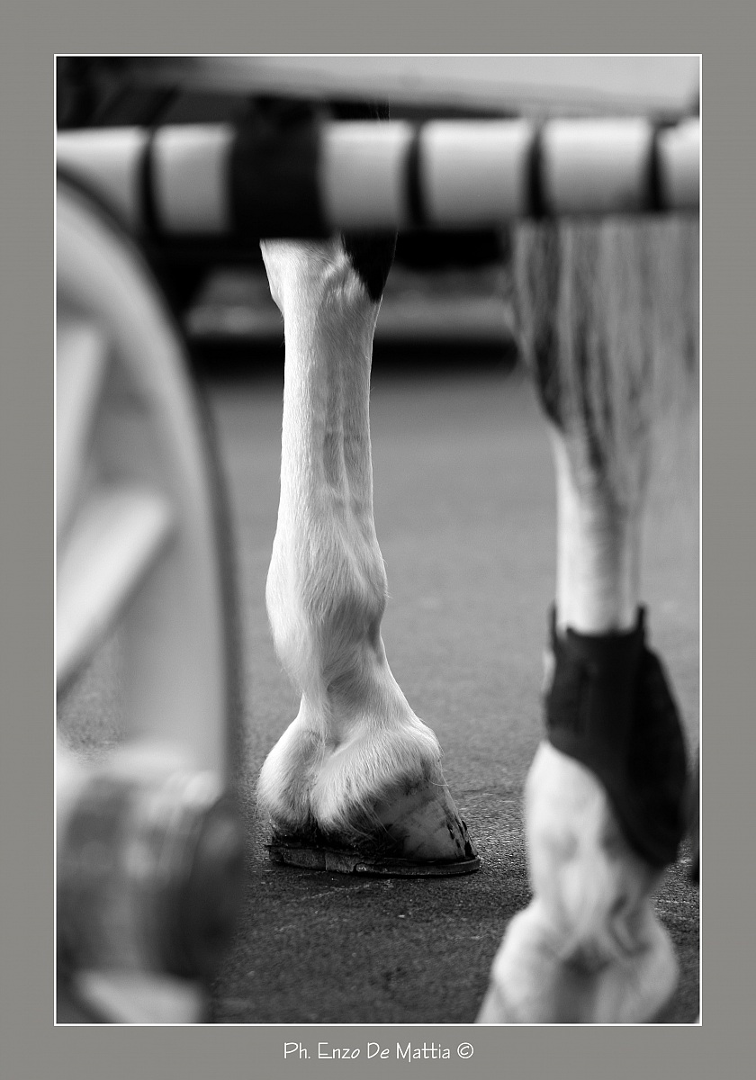 Locomotion ecological ;)