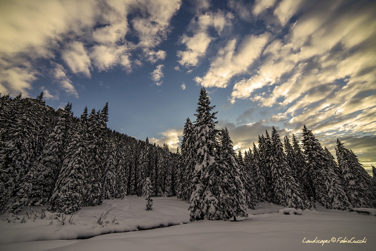 Snow and Sky Val Venegia