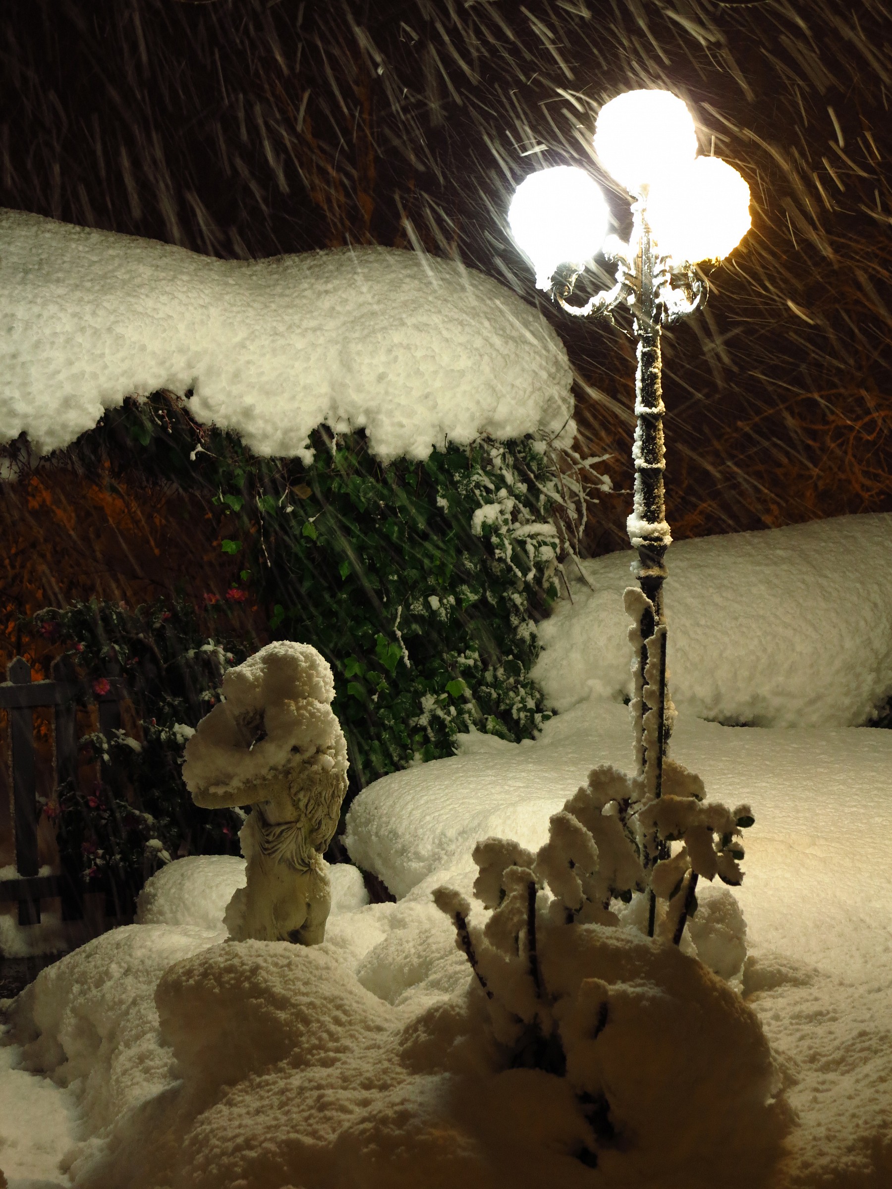 Neve sul mio giardino.