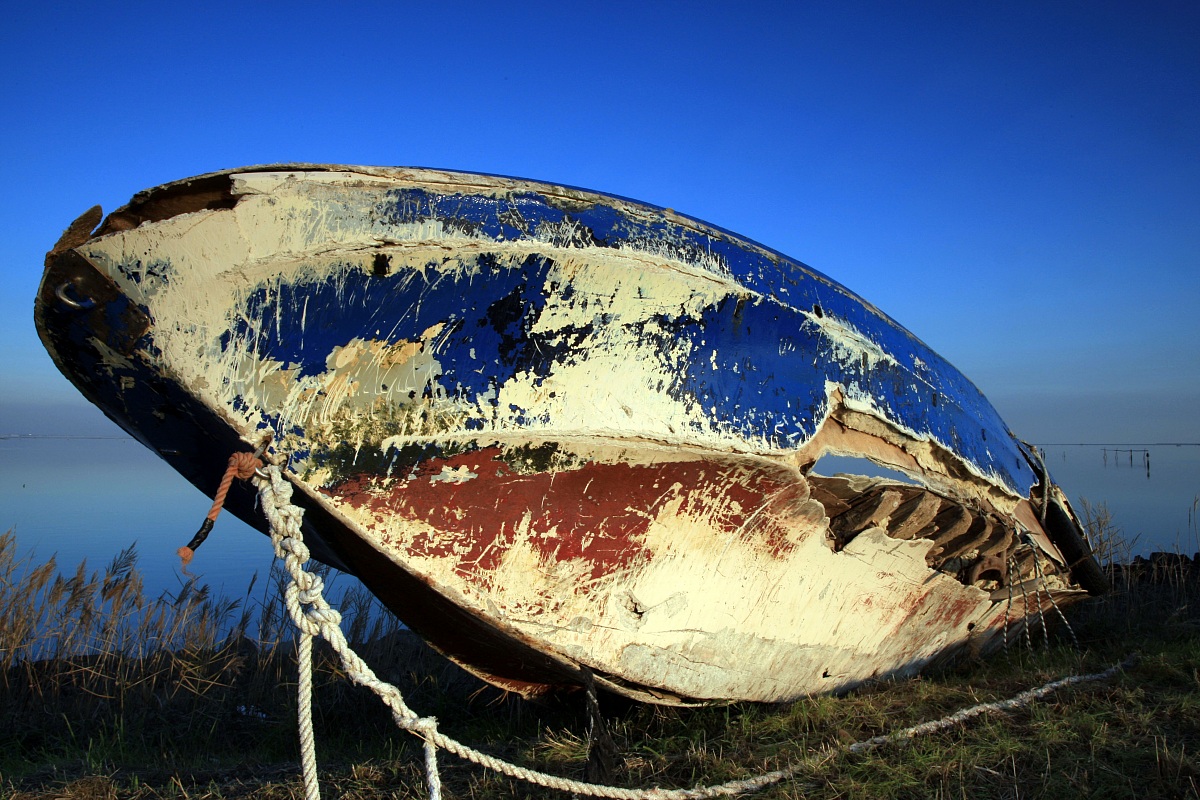 sacca degli scardovari