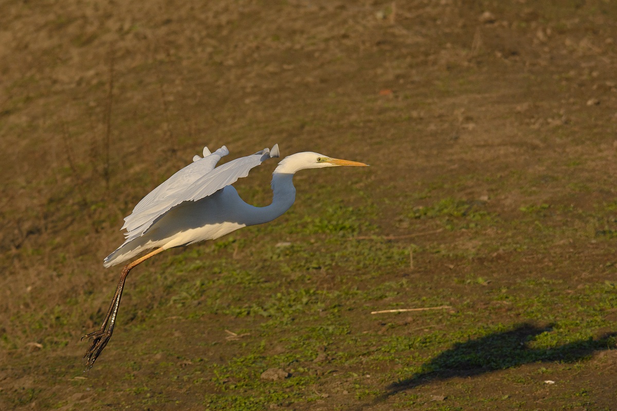 Fase di atterraggio...