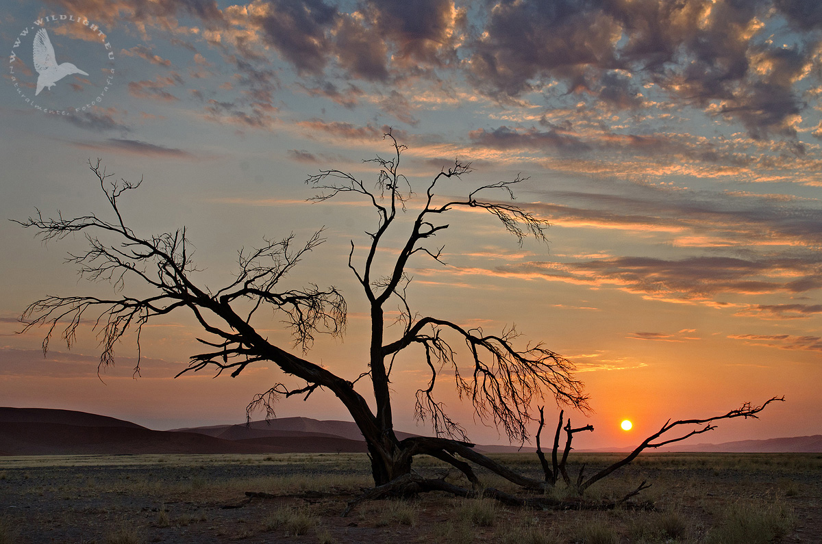 tramonto ai piedi della duna 45
