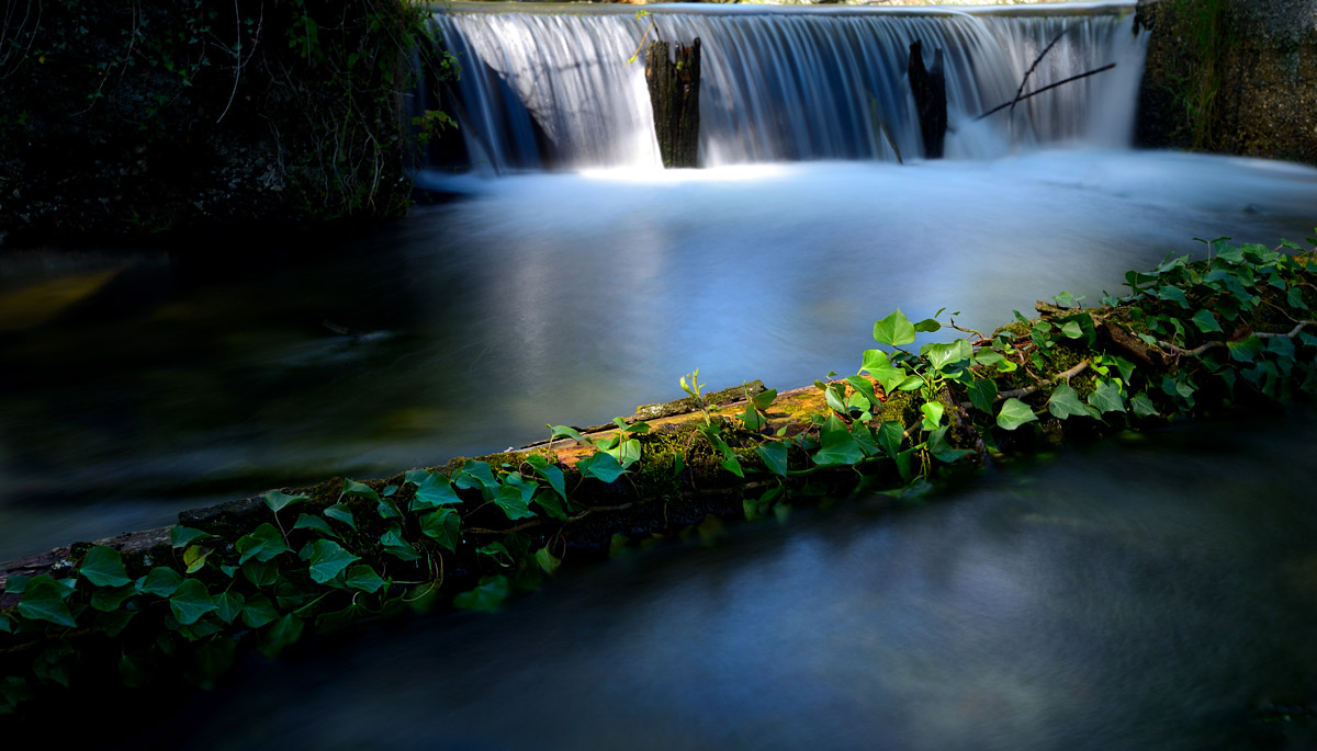 Sunrise on the blue river 5