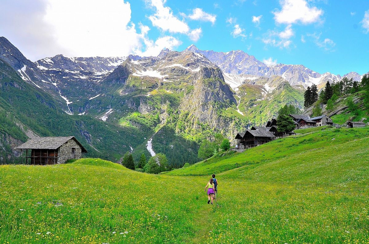 Flowering in Val d'Otro