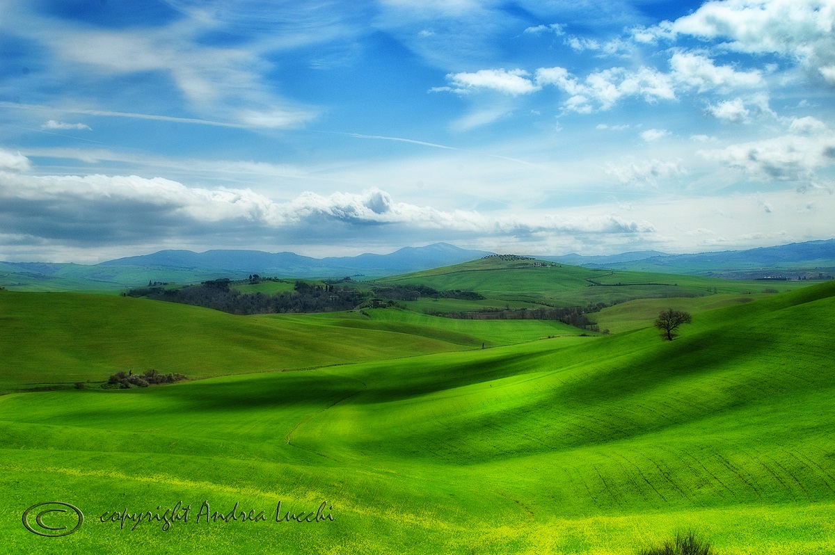 morbide colline toscane
