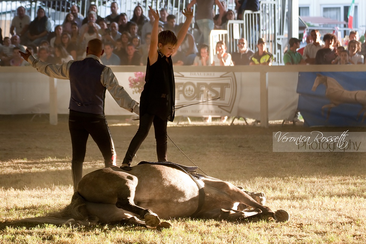 Spettacolo Equestre