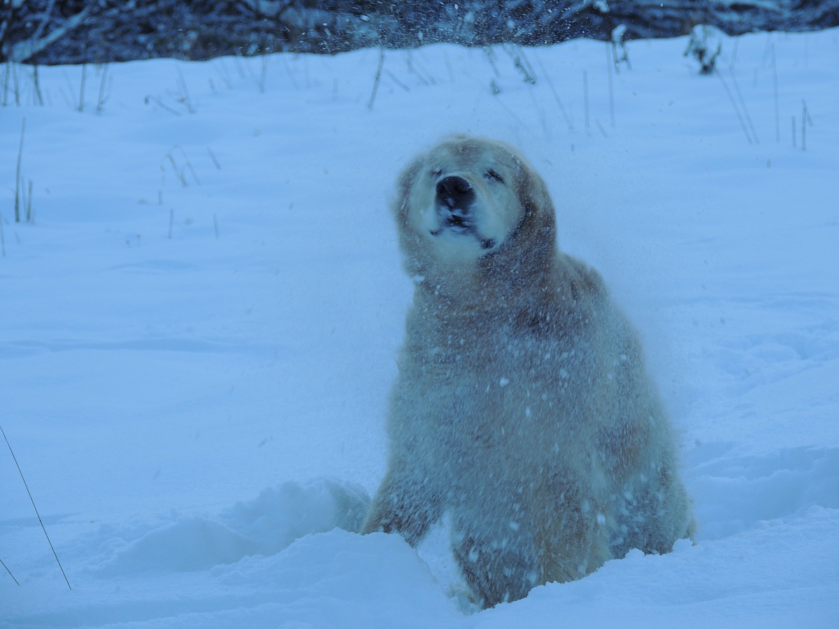 shake after bath vessel