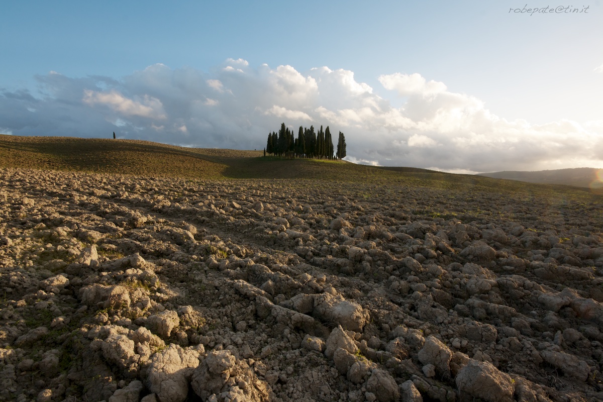 Cipressi di San Quirico D'Orcia in autunno - 1