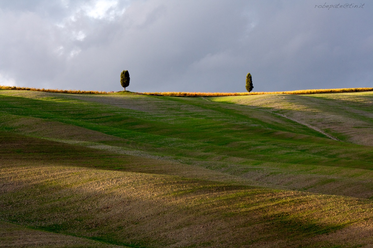 Val D'Orcia - vicino ai cipressi in autunno 1