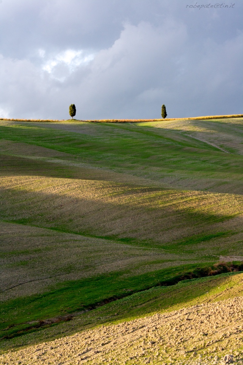 Val D'Orcia - near the cypress trees in autumn 2