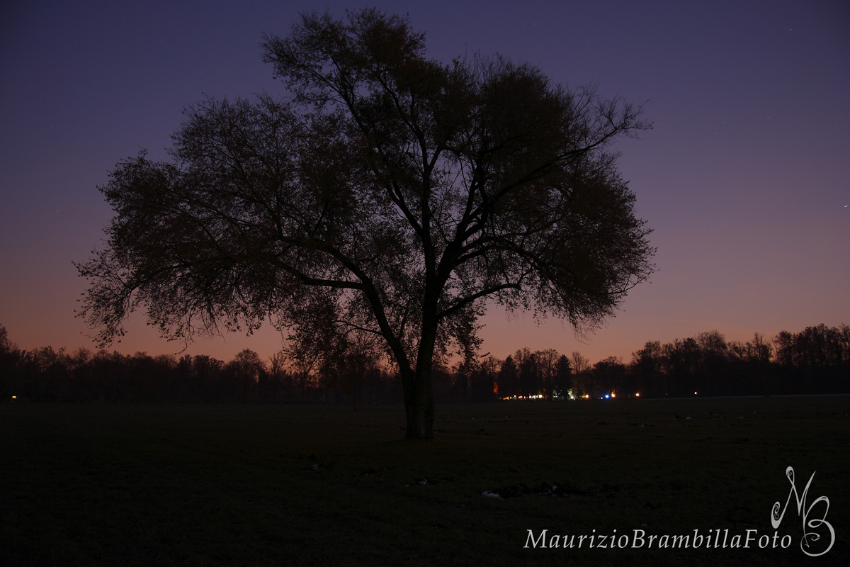 Sunset Park Di Monza